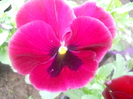 DSCN0998