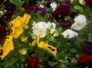DSCN0999