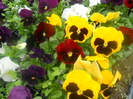 DSCN1007