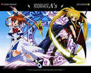 Nanoha si Fate