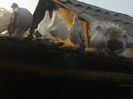 P04-04-11_18.23[2]