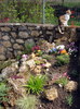 DSC09920