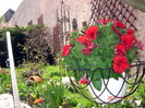 DSC09891