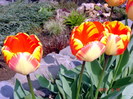 DSC09910