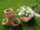 DSC09911