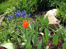 DSC09912