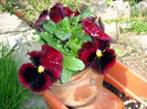 DSC09917
