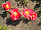 DSCN0656