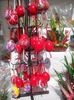 POM de .......AGATAT(ouale)