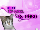 NEXT Top Model by HOBO