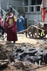dongyi47