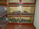 DSCN0460_274