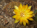DSCF7287