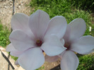 DSCF7387