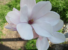DSCF7388