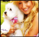 25779800_TLIREZHMW - x-Ashley Glitery-x