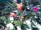 Imag018