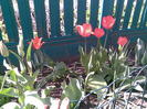 Imag021
