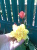 Imag029