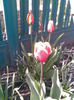 Imag026
