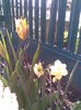 Imag028