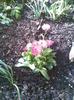 Imag053