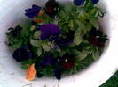 Imag048