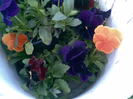 Imag049