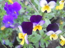 DSCN1014
