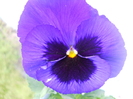 DSCN1019
