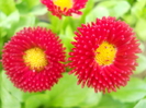 DSCN1001