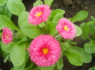 DSCN1002