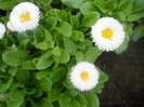 DSCN1003