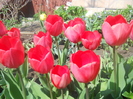 DSCN1022