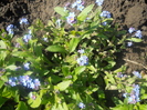 DSCN1025