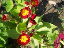 DSCN1027