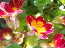DSCN1028