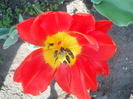 DSCN1030