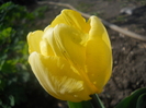 DSCN1032
