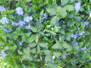DSCN1033