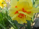 DSCN1034