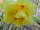DSCN1035