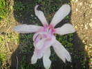 DSCN1037