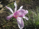 DSCN1038