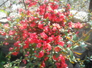 DSCN1039