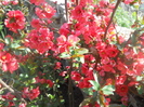 DSCN1040