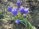 DSCN1042