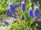 DSCN1043
