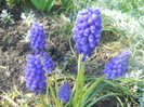DSCN1044