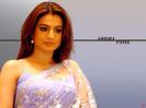 amisha-patel-wallpaper[1]